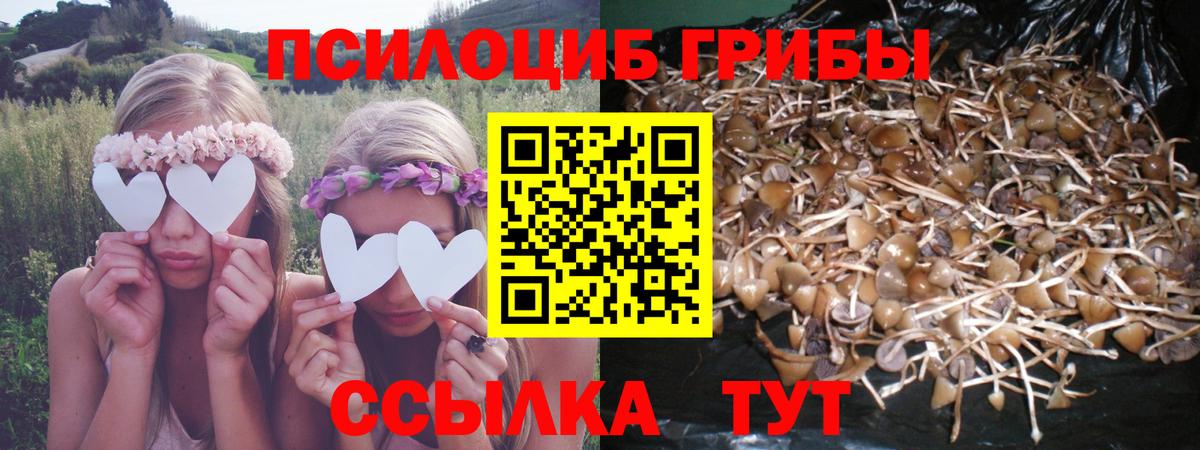 Галлюциногенные грибы Psilocybe  Вход с VPN  Изобильный 